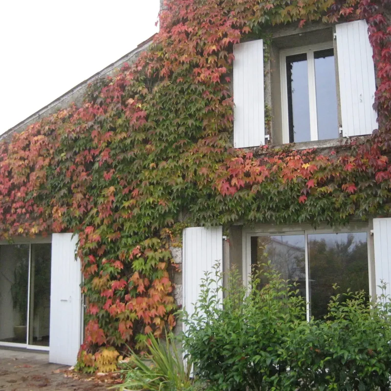 Pose de menuiseries à Chavagnes en Paillers par l'espace Menuiserie Lami